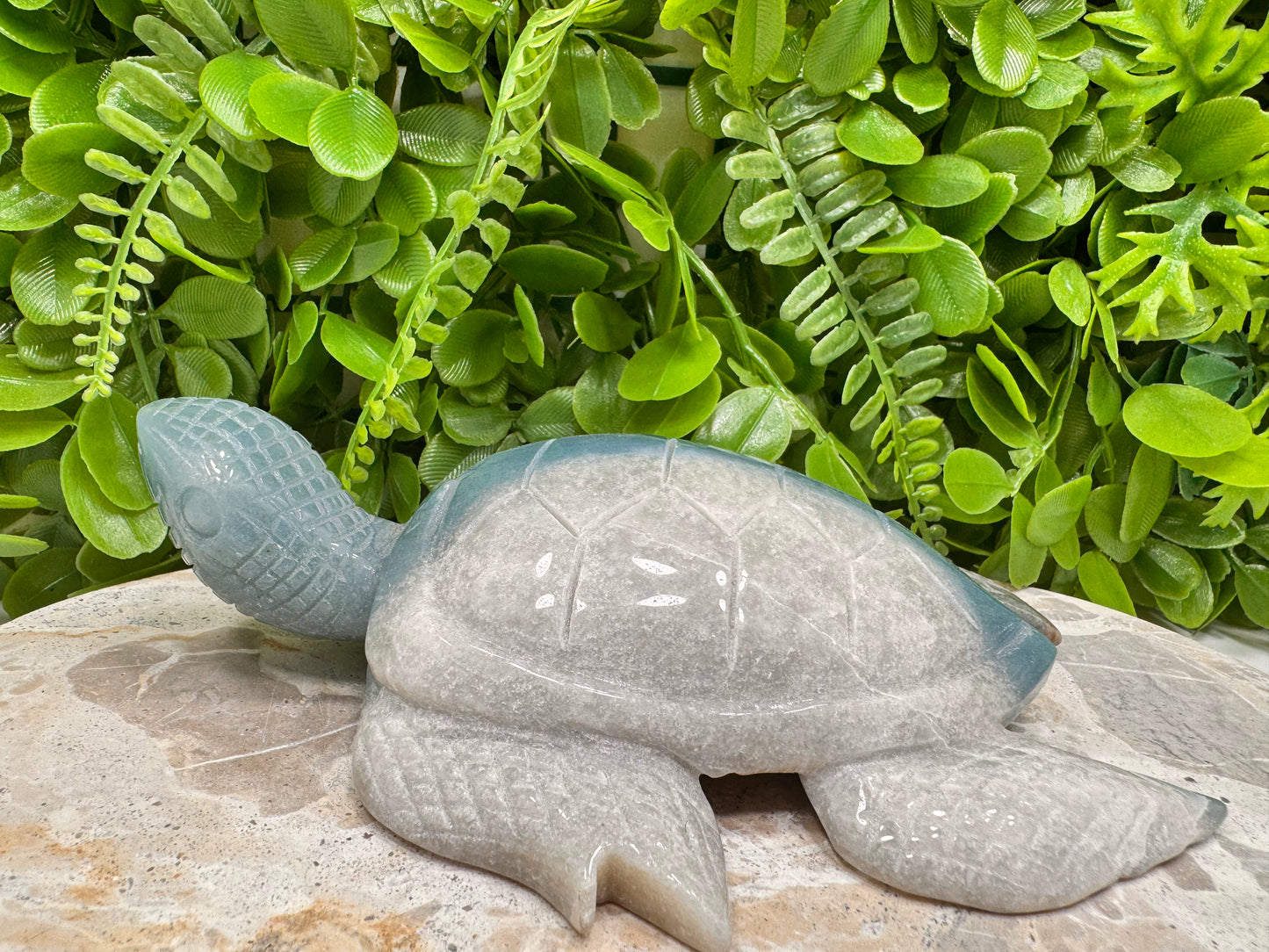 Trolleite Turtle 750G