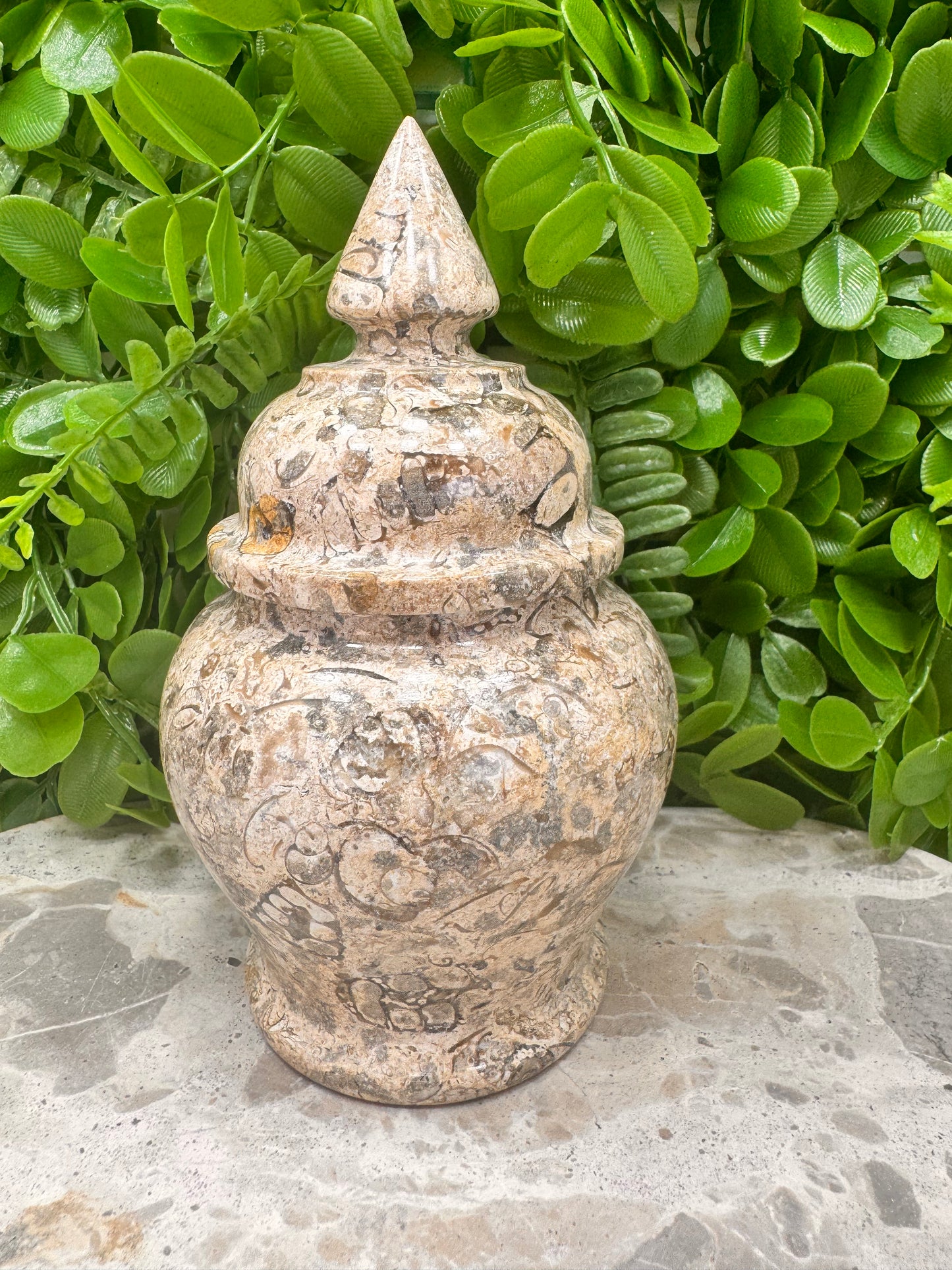 Shell Jasper Jar with Lid 598g