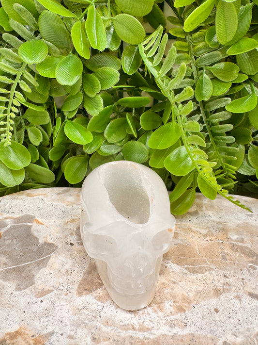 Agate Druzy Skull 168g