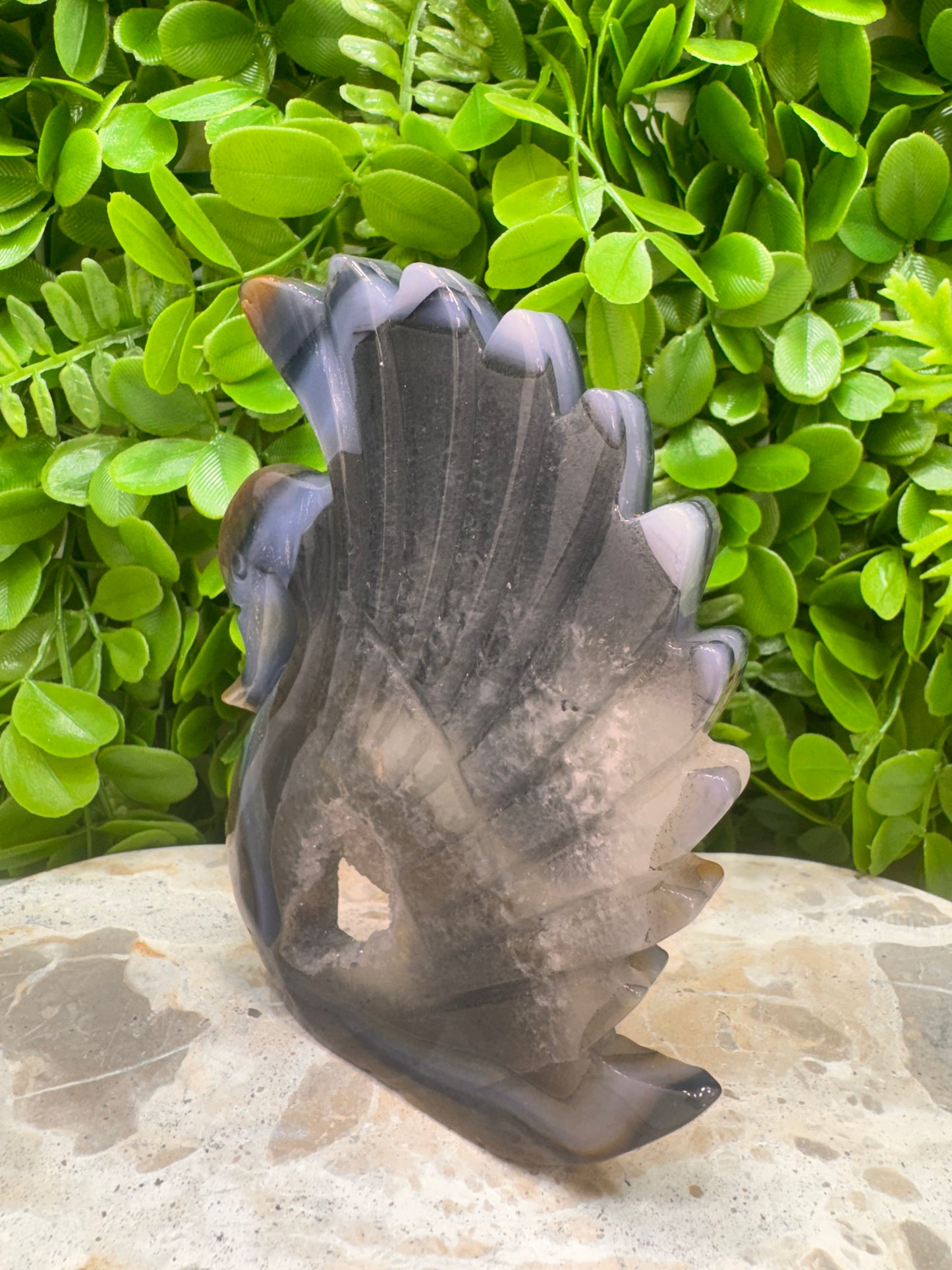 Agate Druzy Swan 306g