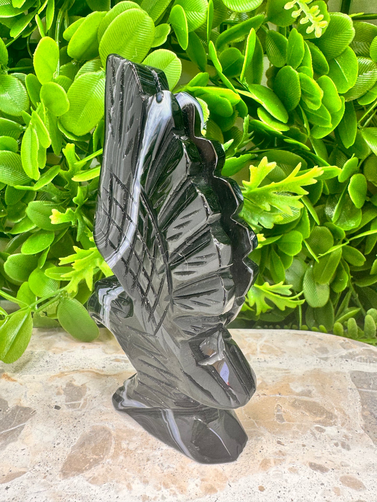 Black Banded Sardonyx Eagle 298g