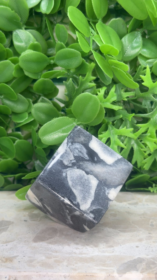 Shell Jasper Cube 320g
