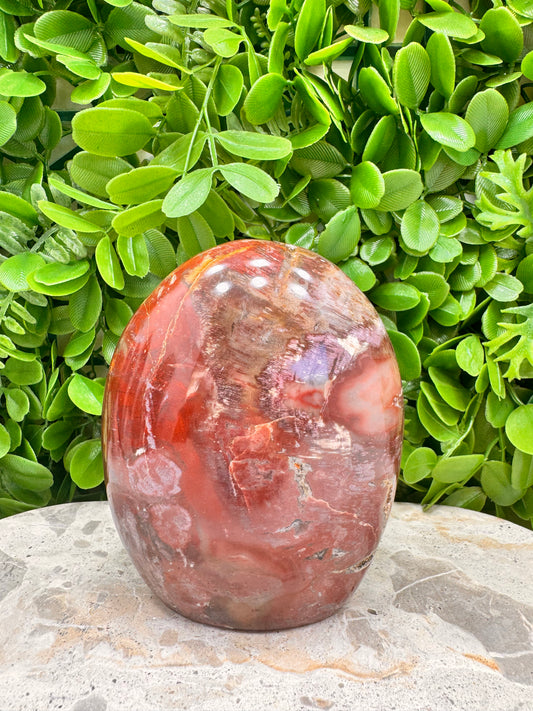 Petrified Wood Freeform 1028g