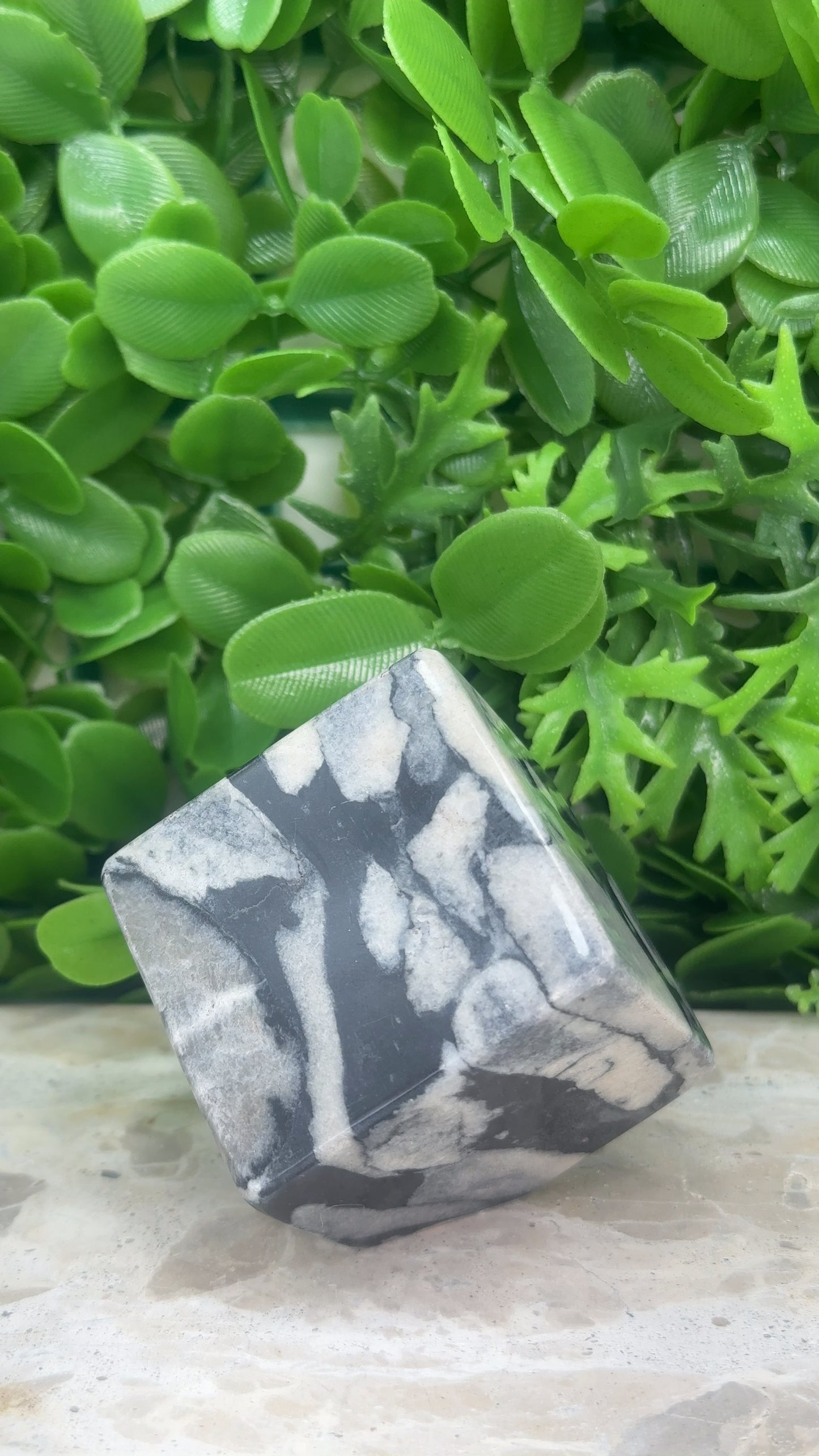 Shell Jasper Cube 330g