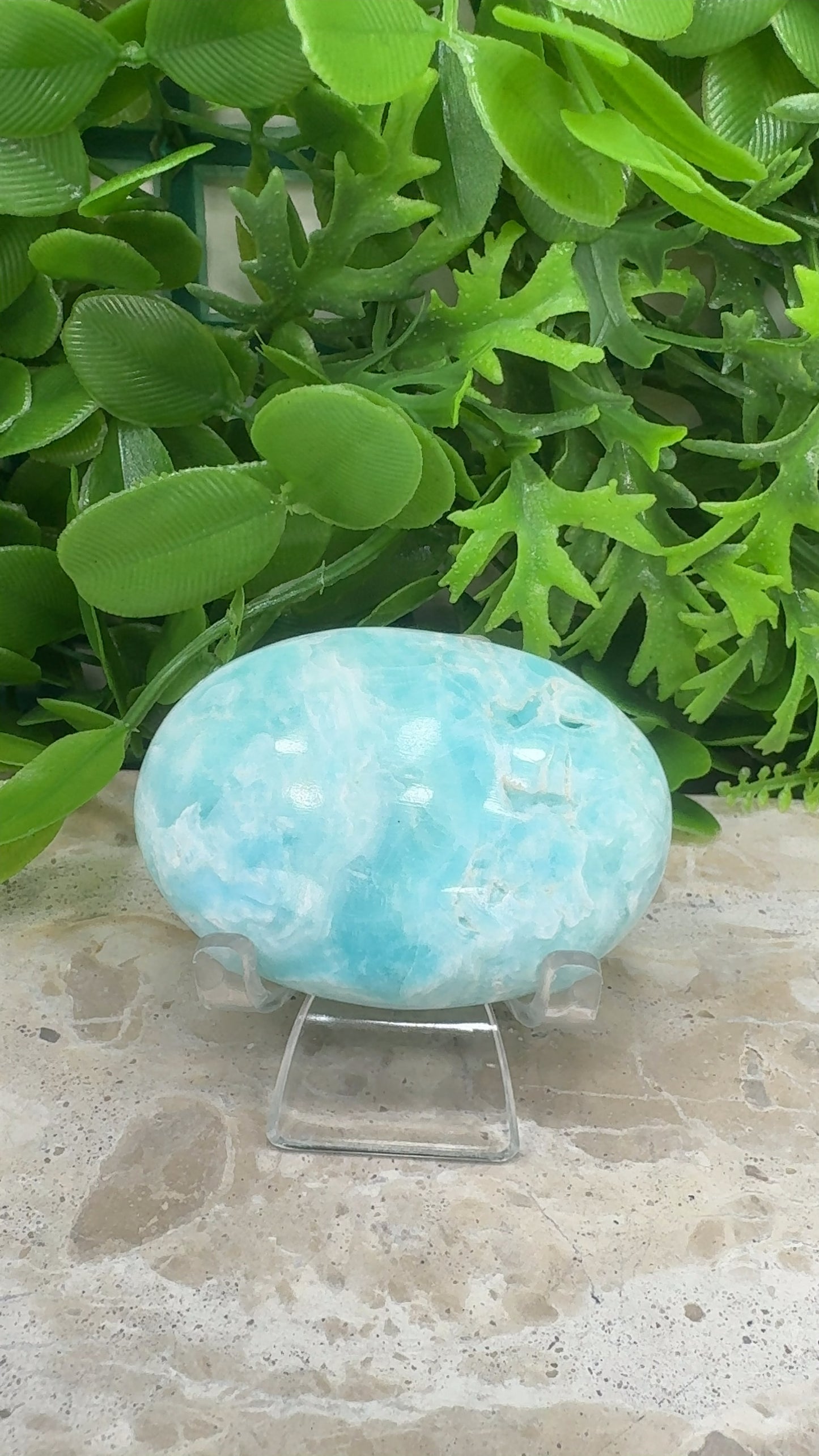 Aragonite Palm Stone 106g