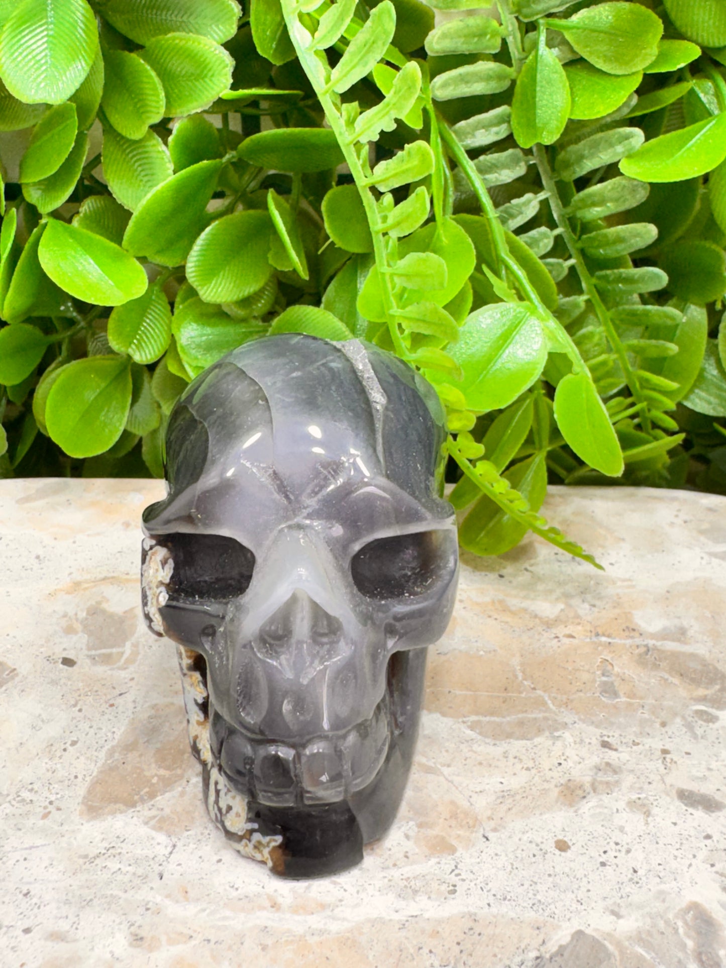 Agate Druzy Skull 280g