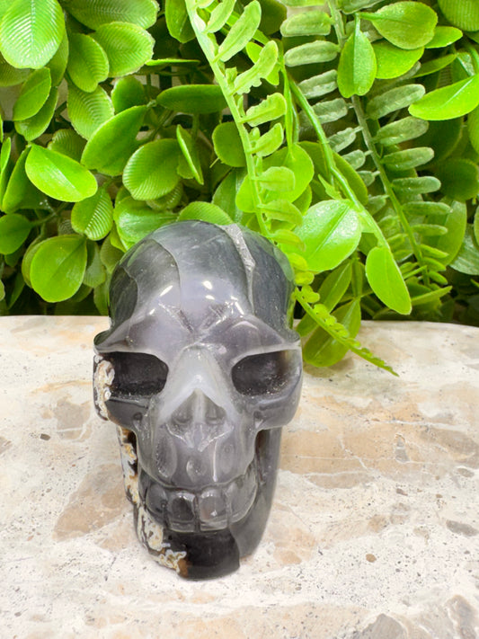 Agate Druzy Skull 280g