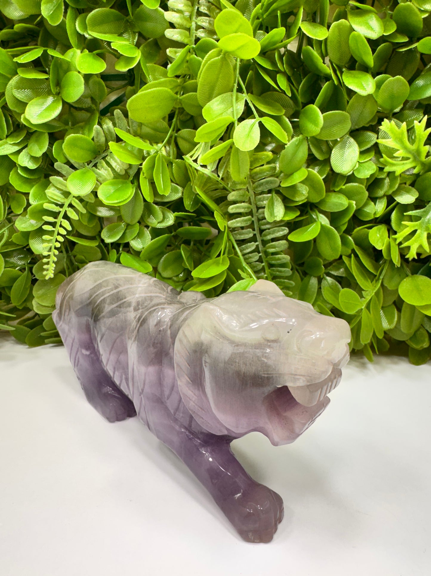 Fluorite Tiger 1498g