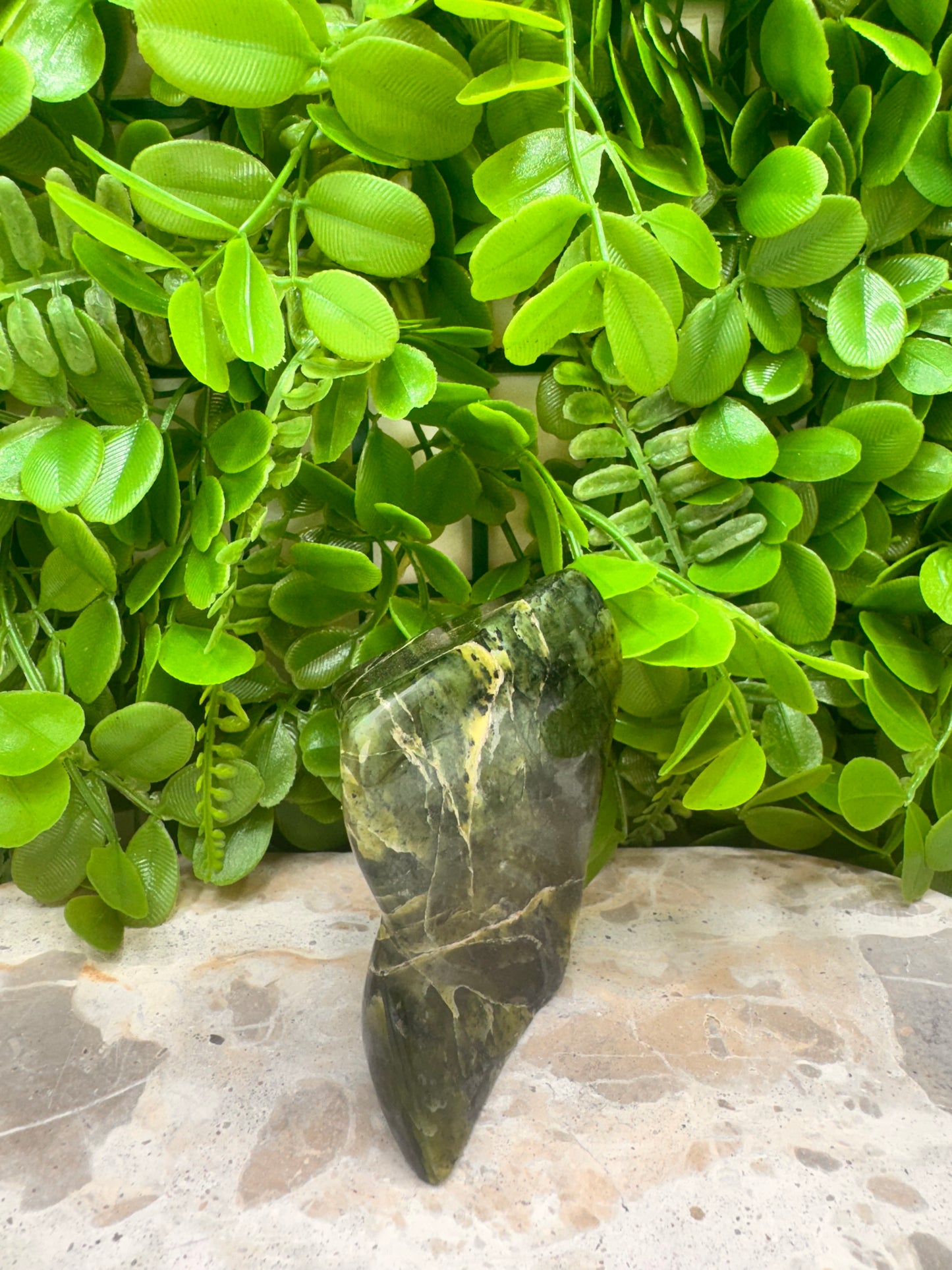 Nephrite Jade Freeform 248g