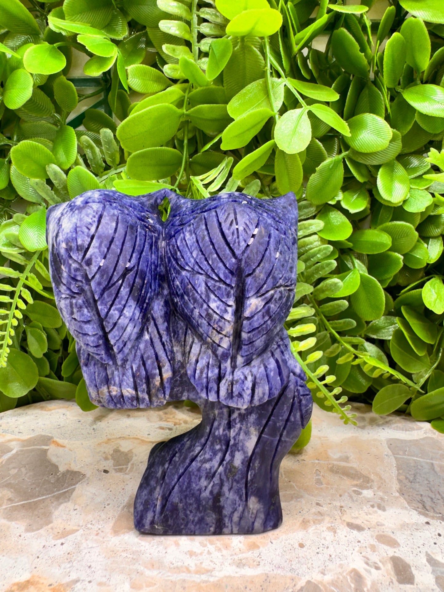 Twin Owl Sodalite 530g