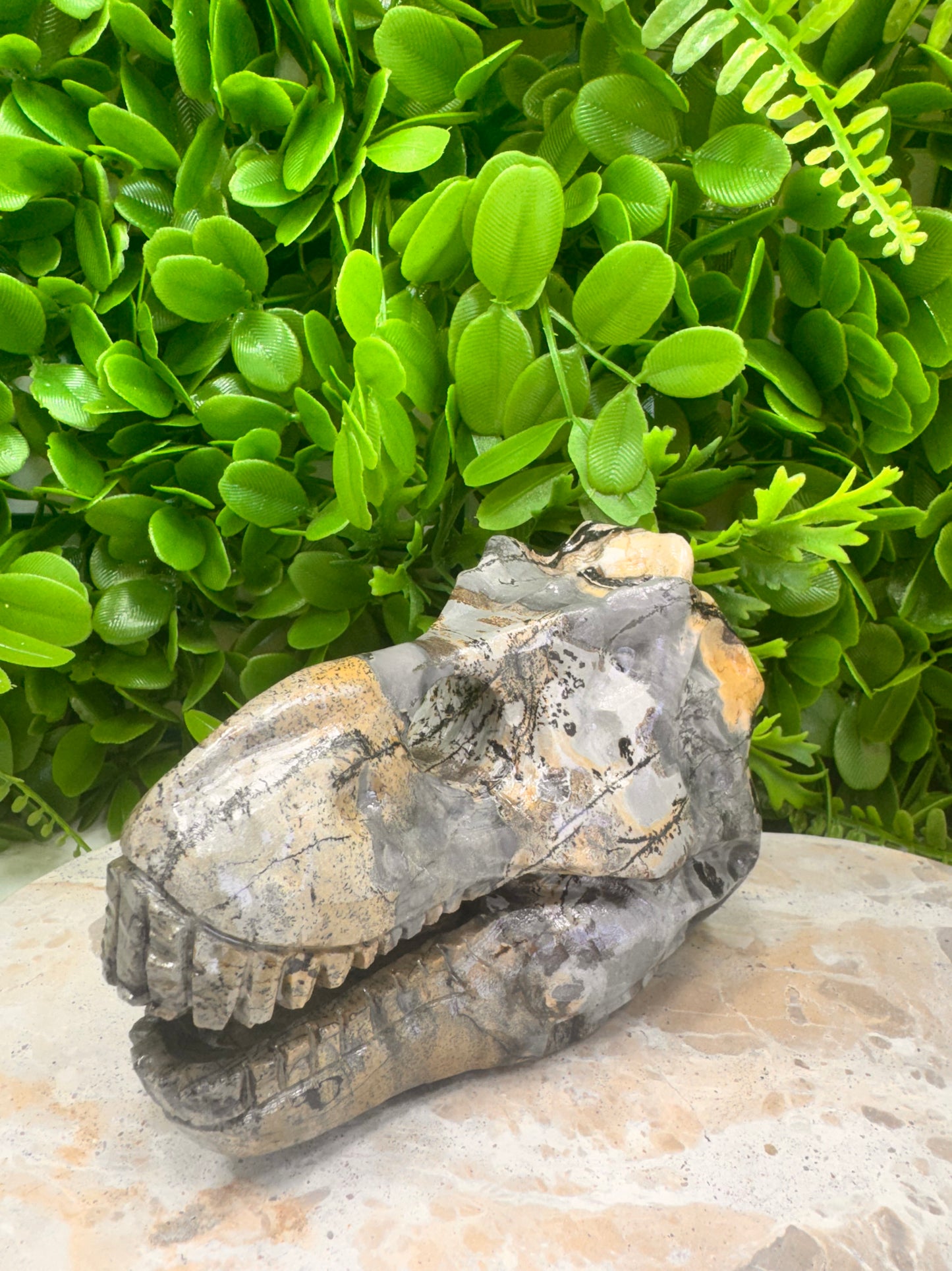 Picture Jasper Dinosaur Skull 724g