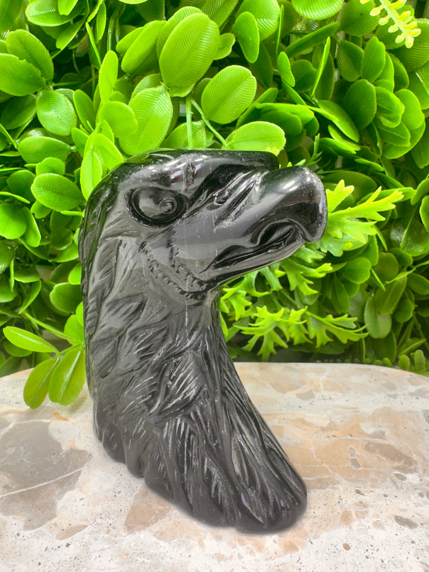 Black Obsidian Eagle 620g