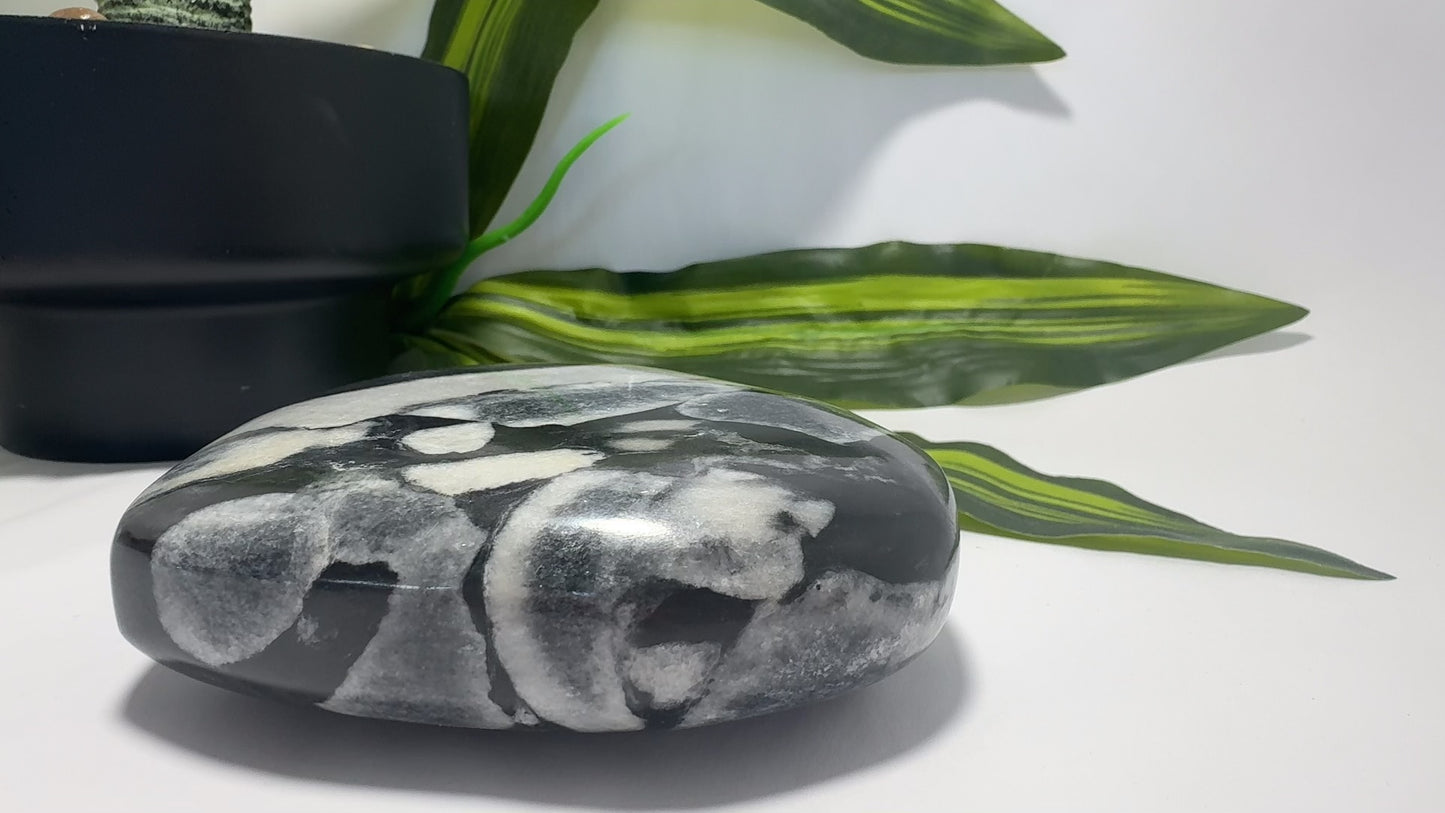 Shell Jasper Heart 738g
