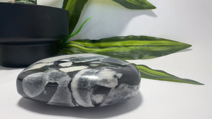 Shell Jasper Heart 738g