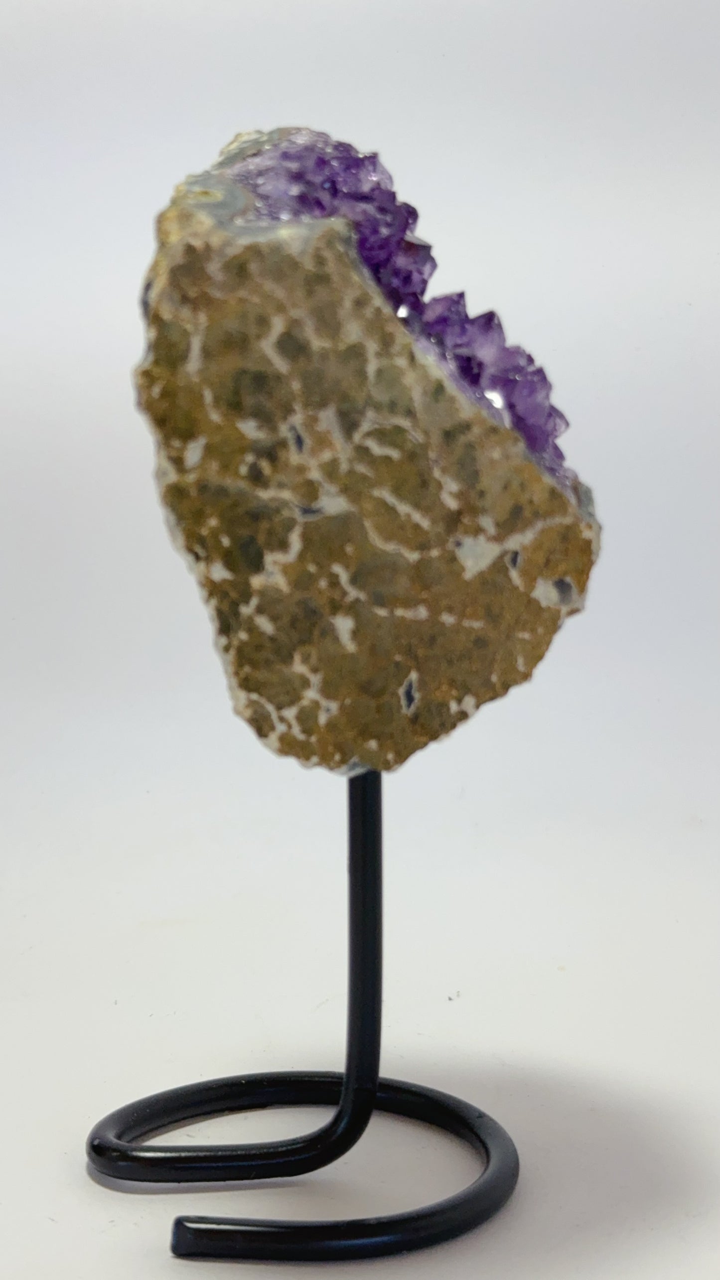 Amethyst on Stand 370g