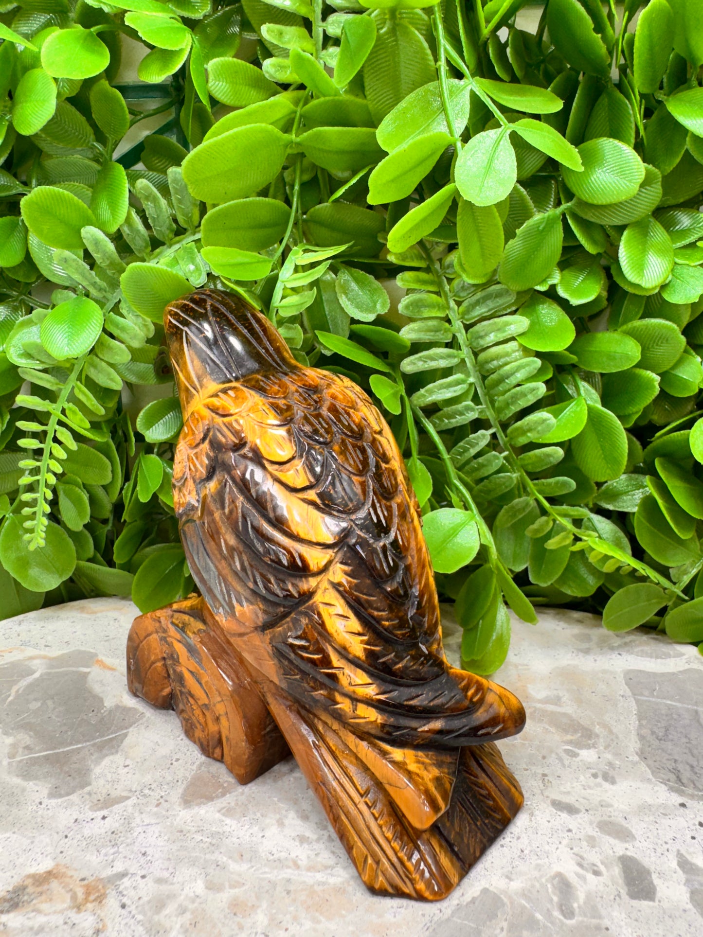 Tigers Eye Raven 746g