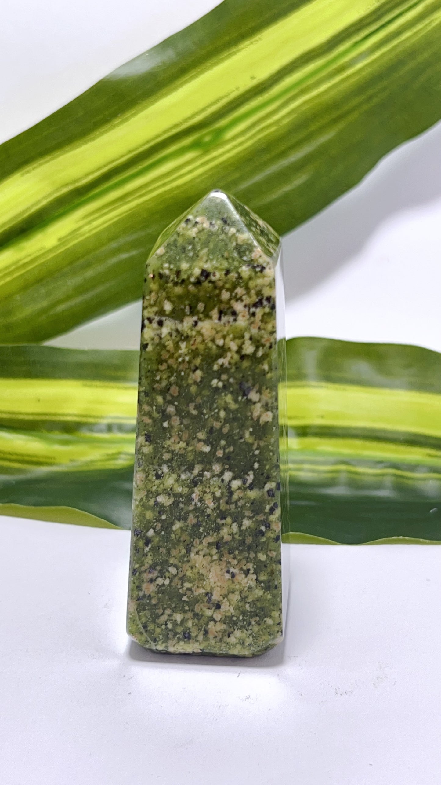 Dotted Serpentine Point 138g