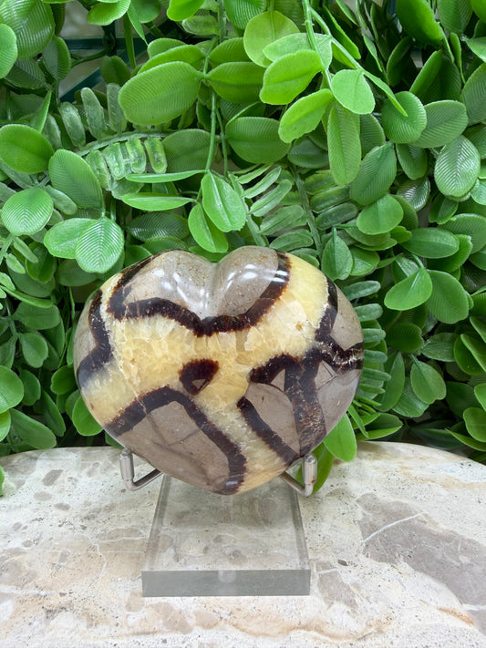 Septarian Dragon Stone 368g