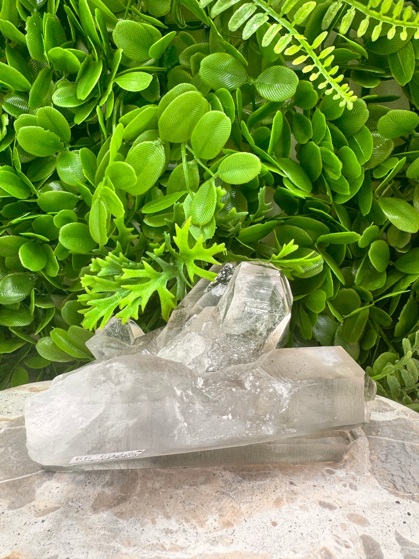 Black Phantom Quartz Freeform 844g