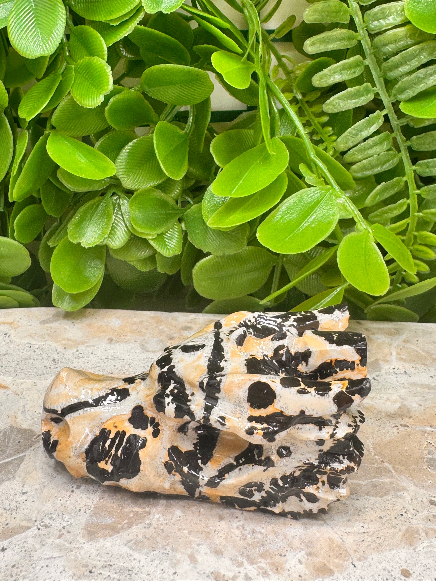 Picture Jasper Dragon Skull 122g