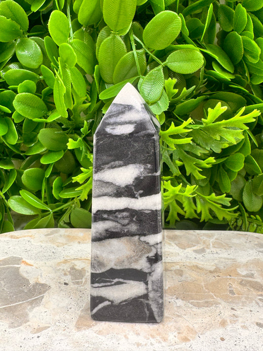 Shell Jasper Tower 278g