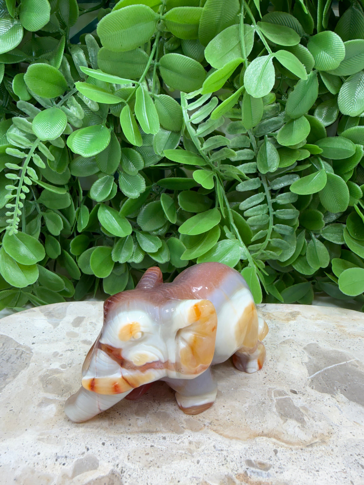 Carnelian Elephant 226g | Motivation • Confidence • Creativity