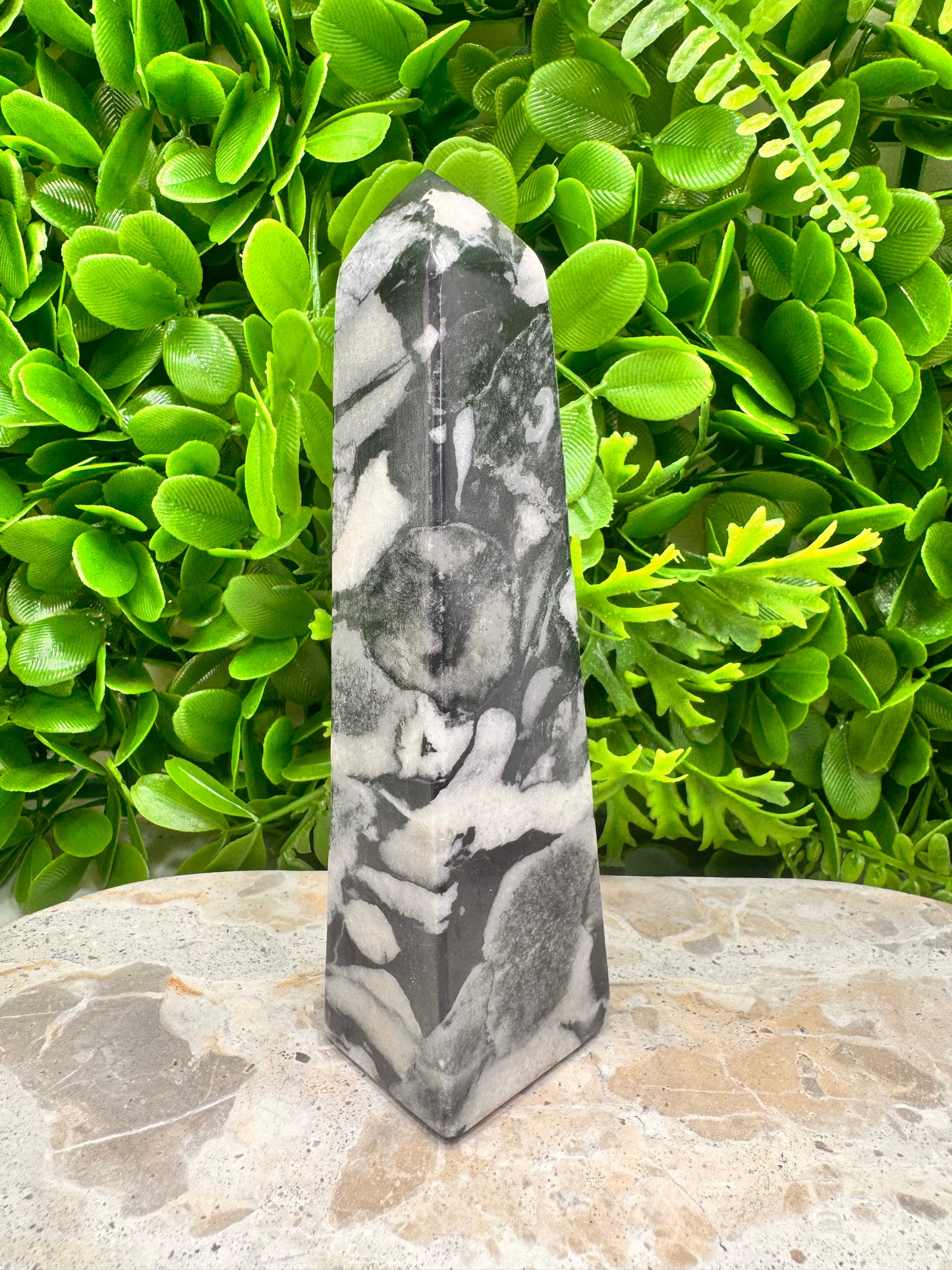 Shell Jasper Tower 420g