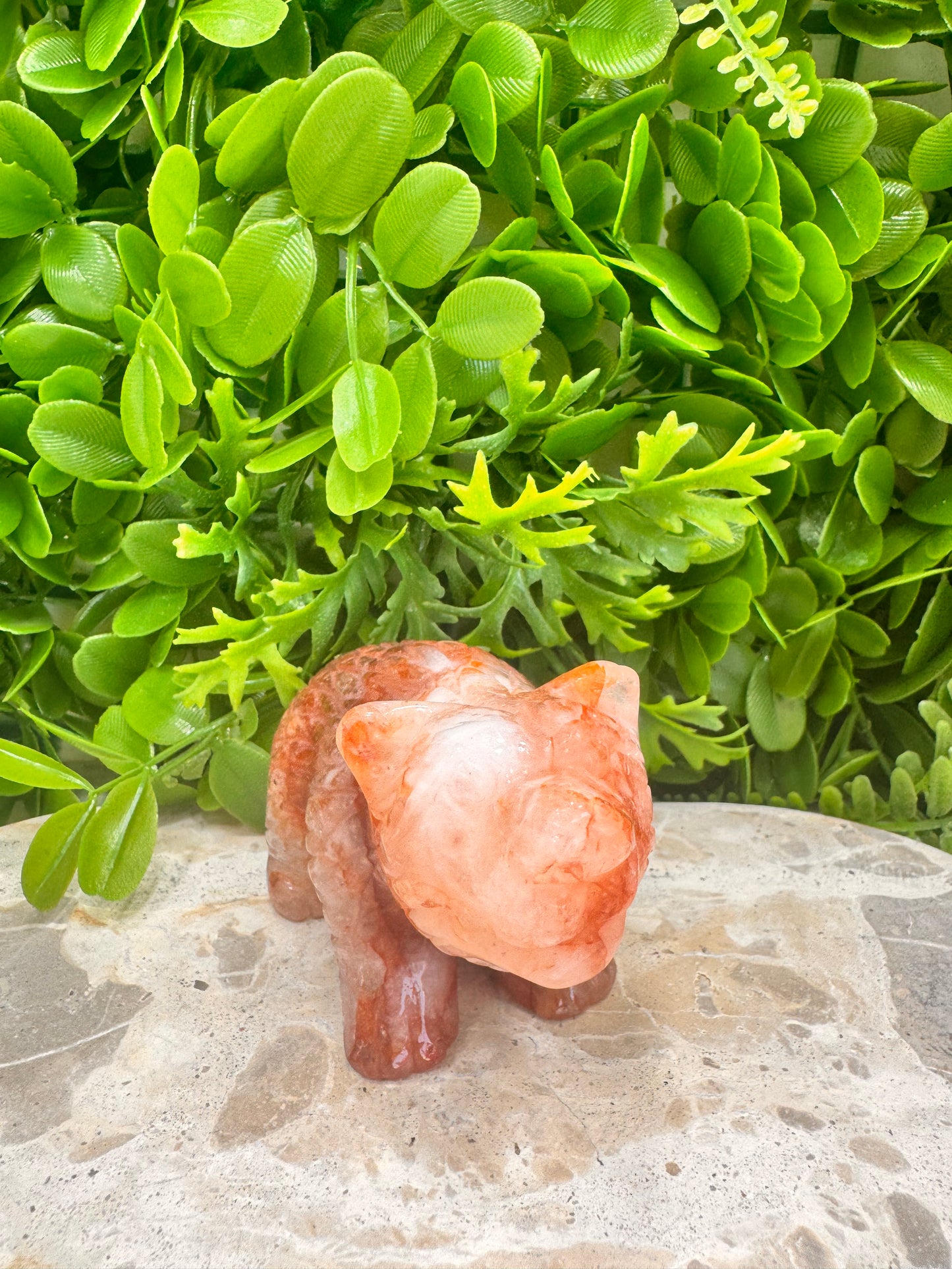 Fire Quartz Bear 428g