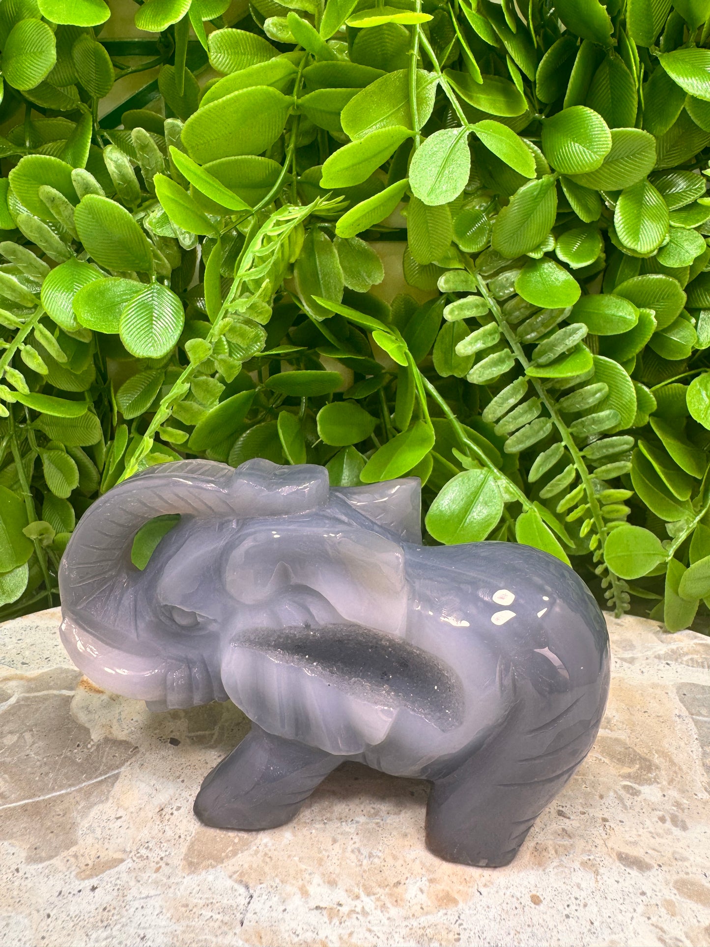 Drusy Agate Elephant 373g