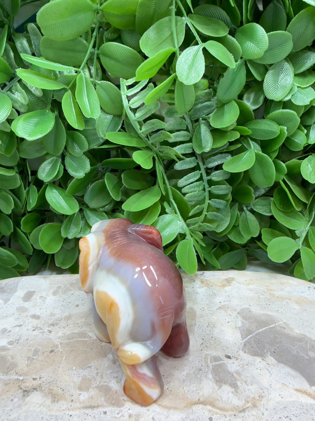 Carnelian Elephant 226g | Motivation • Confidence • Creativity