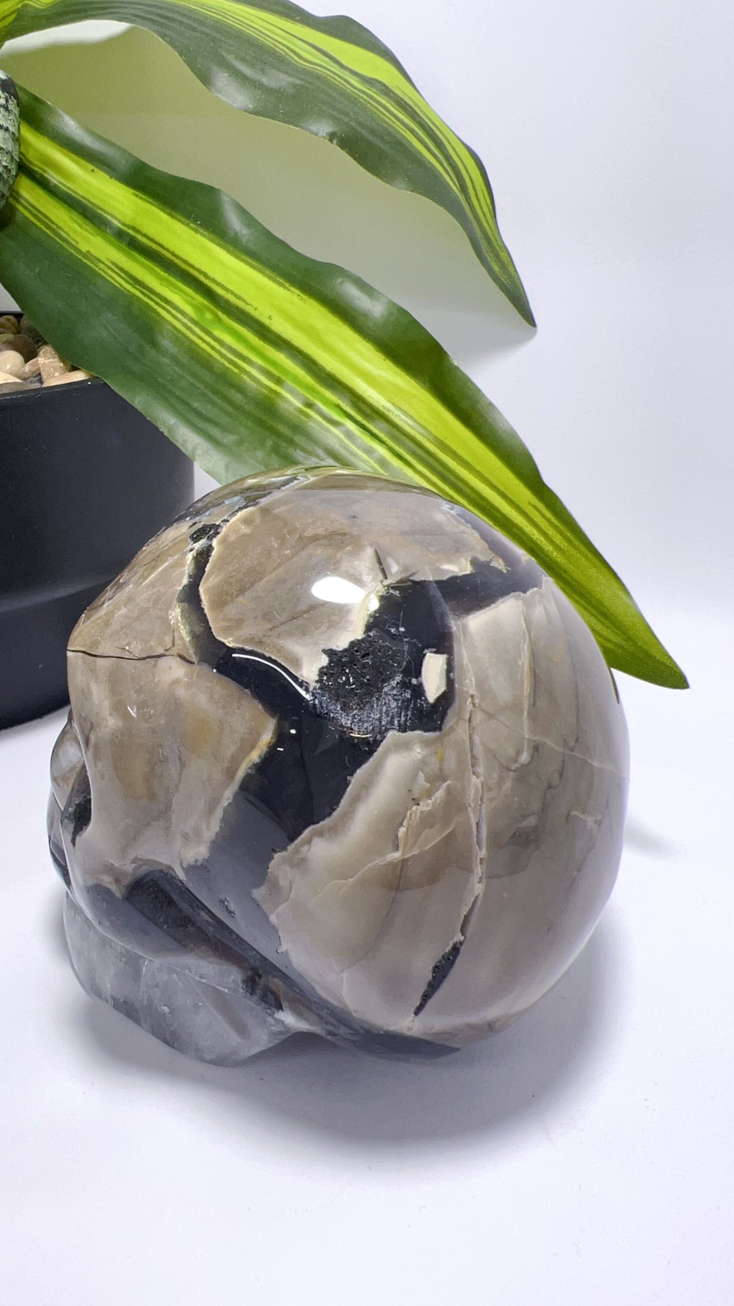Volcanic Agate Skull 1156g