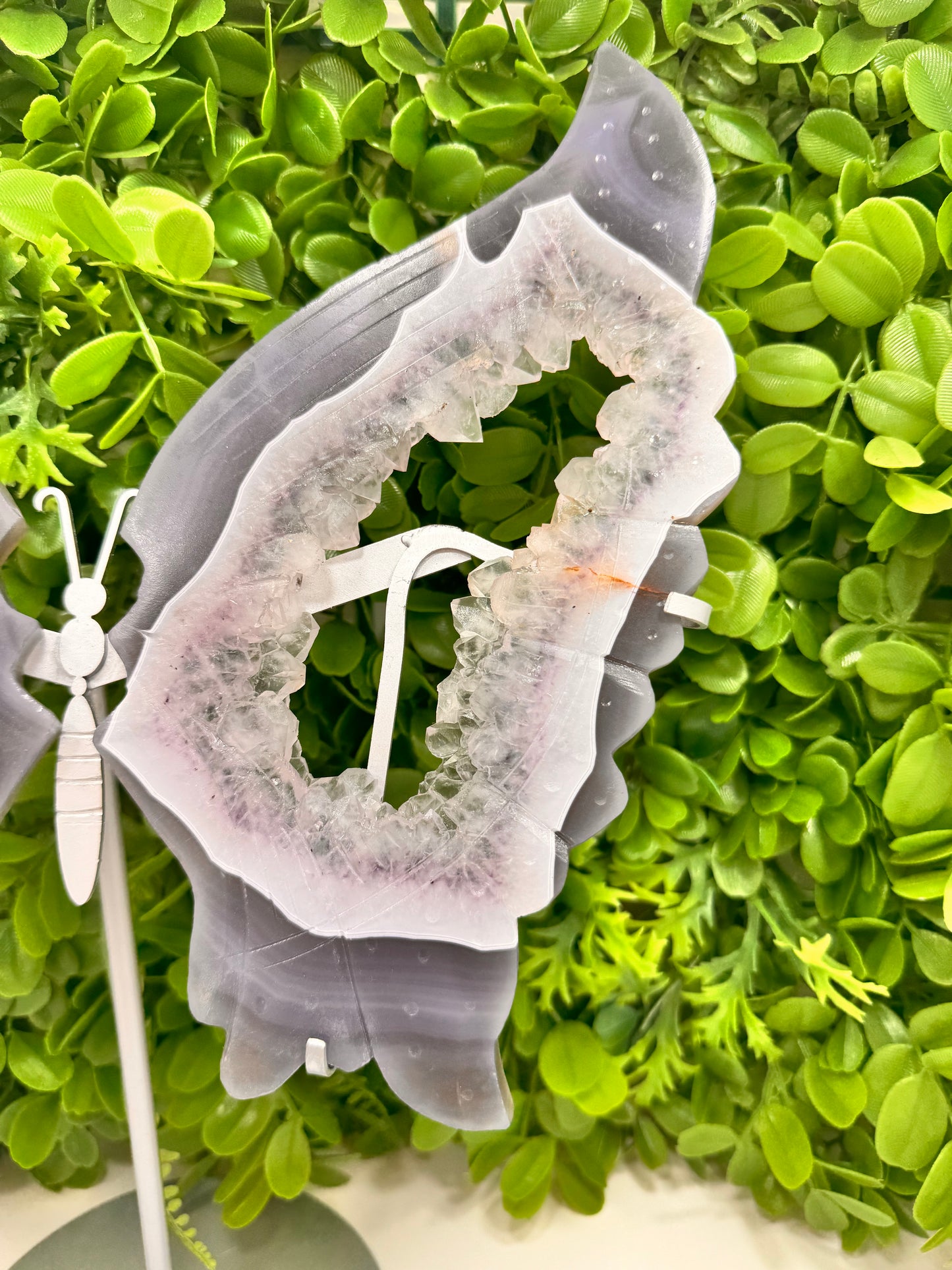 Amethyst Druzy Agate Butterfly Wings 1772g