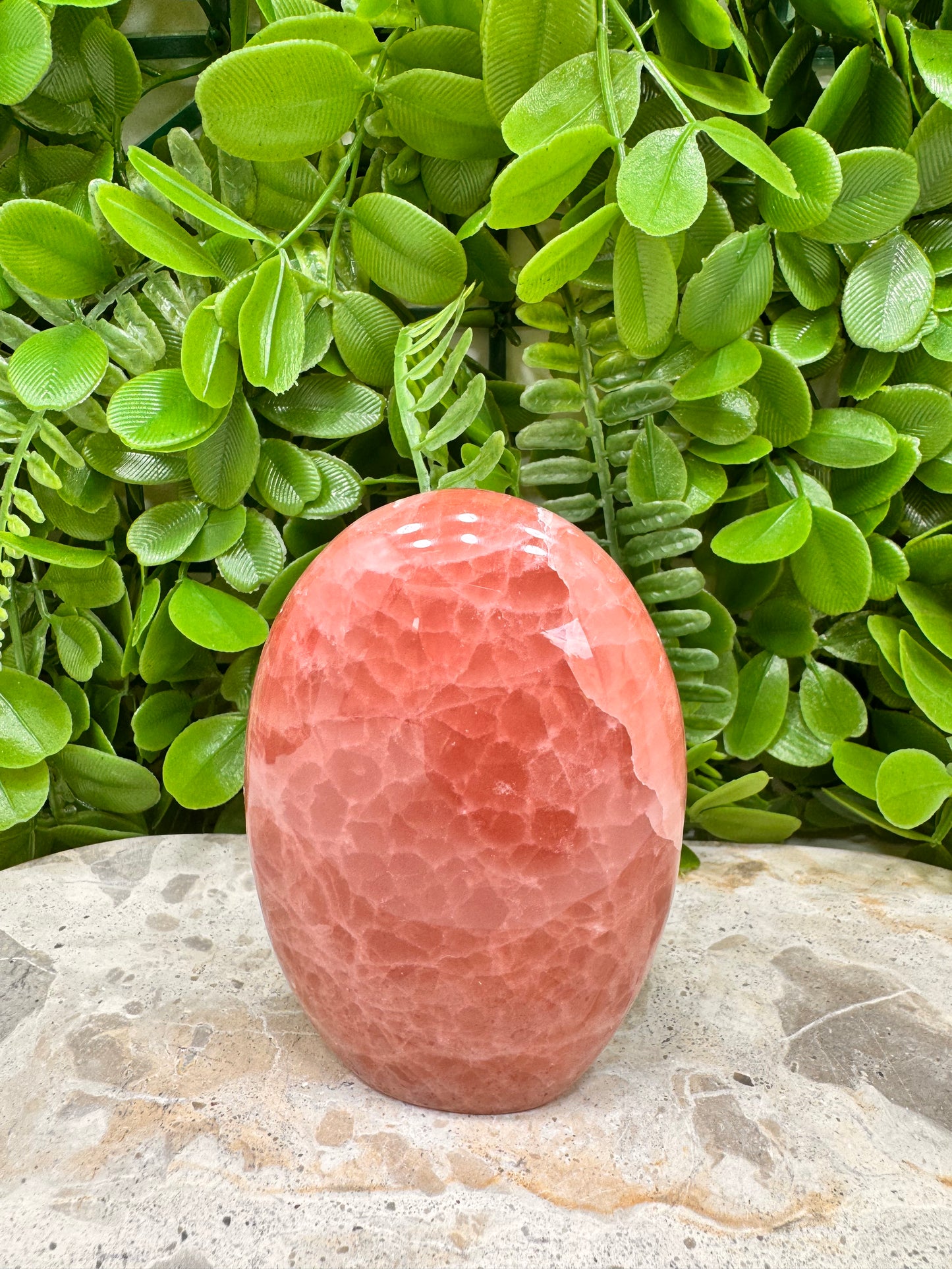 Standing Rose Calcite 340g