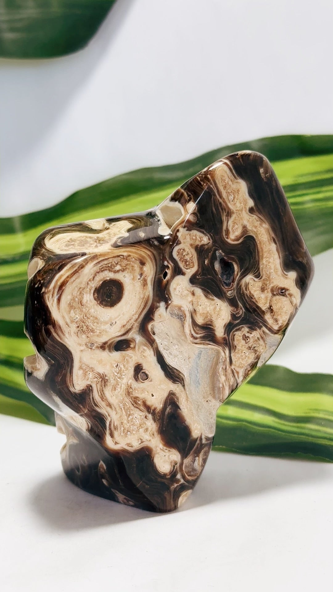 Chocolate Calcite Freeform 484g