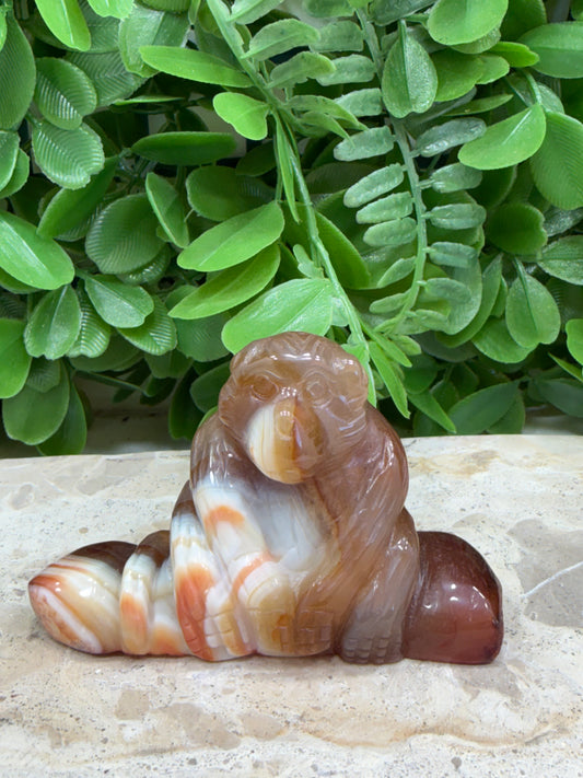 Carnelian Ape | Motivation • Confidence • Creativity