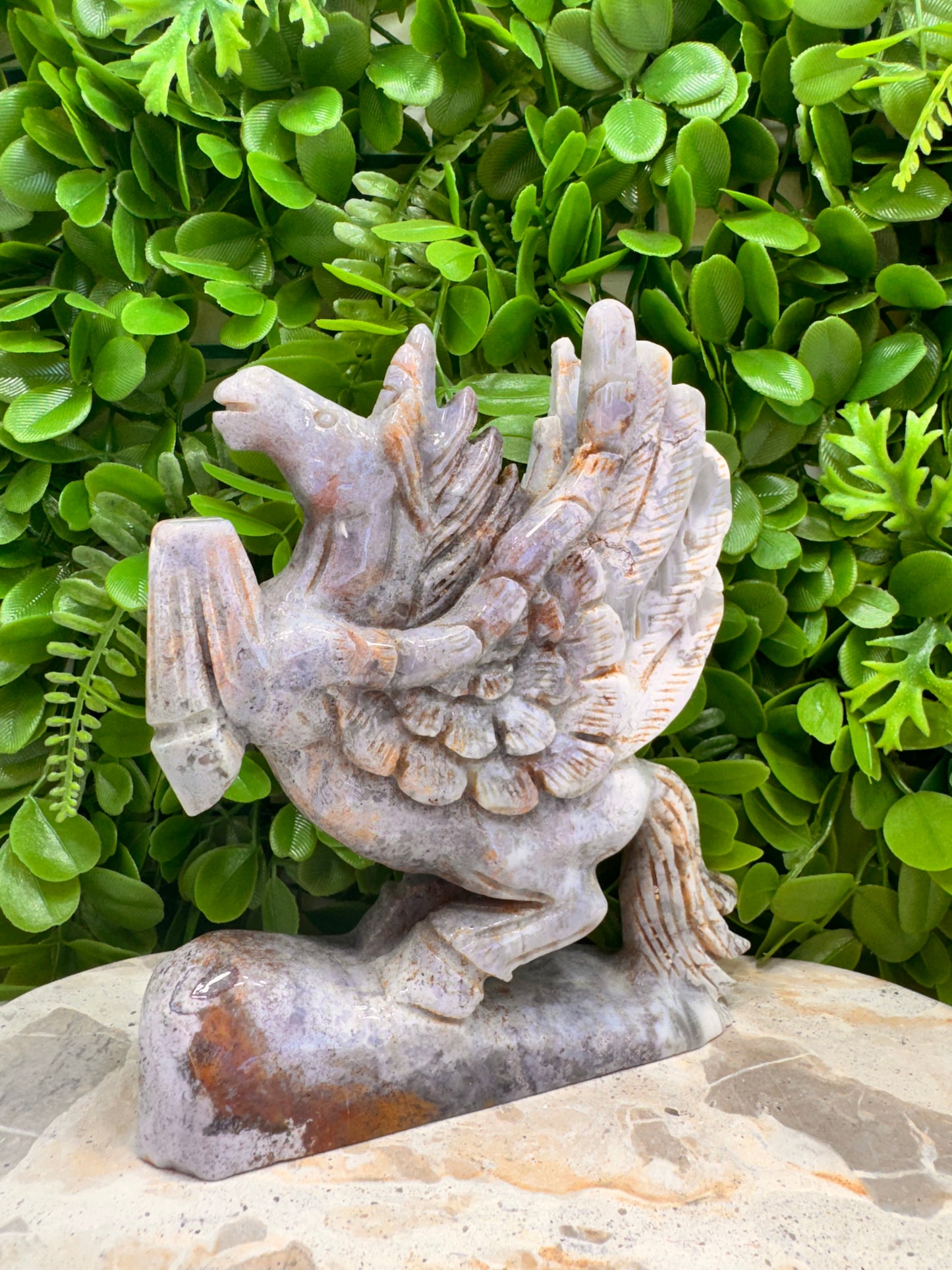 Ocean Jasper Pegasus 1012g