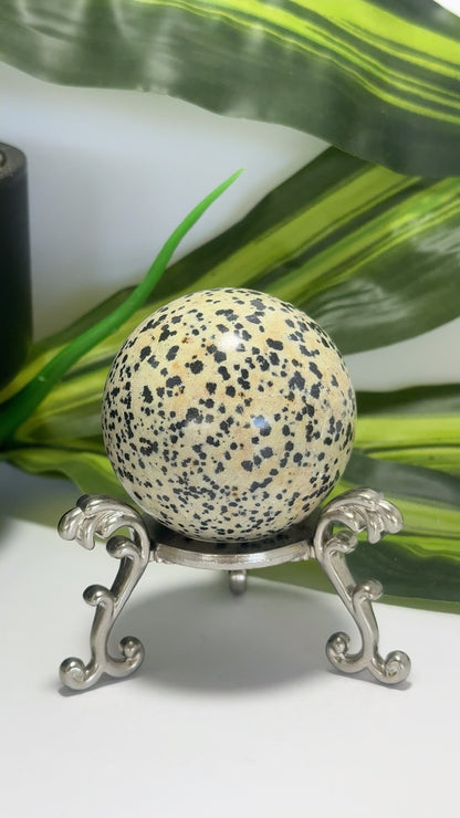 Dalmation Jasper Sphere 202g