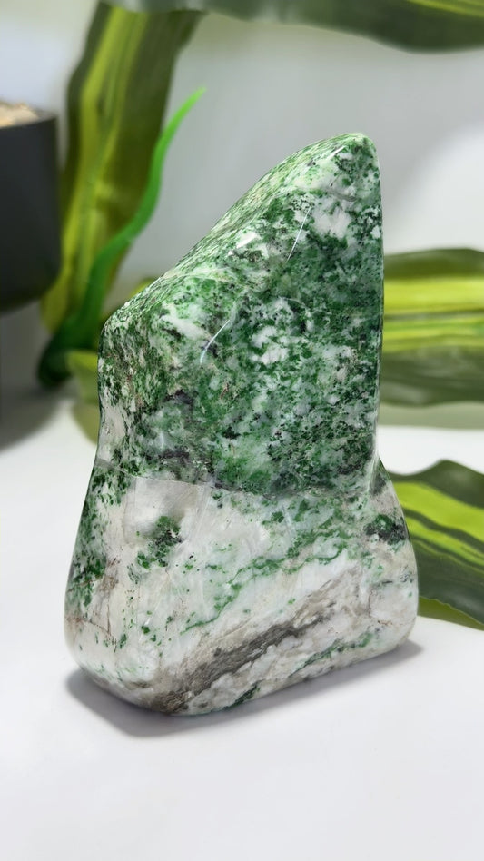 Green Apple Jadeite Freeform 424g