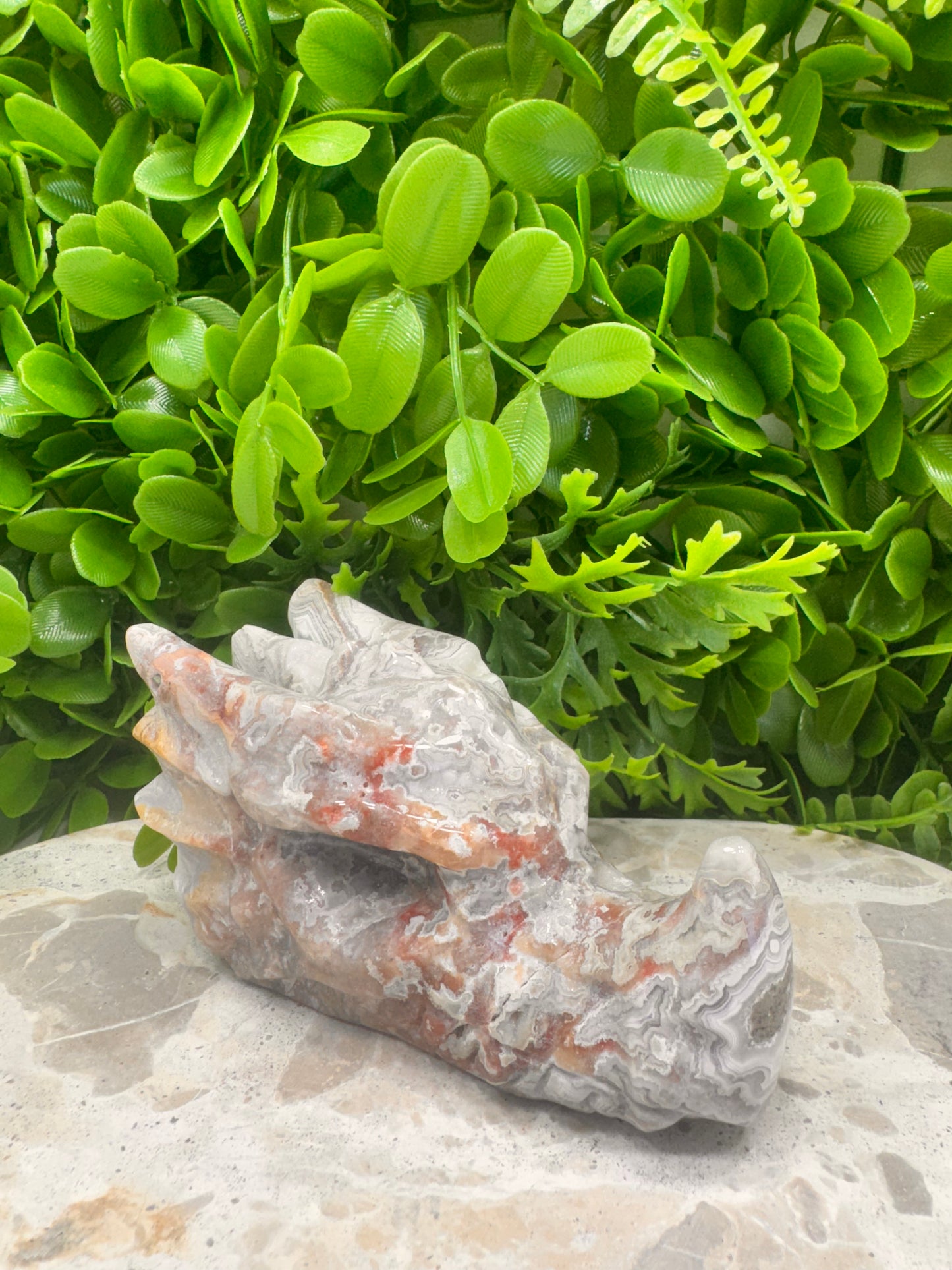 Mexican Agate Druzy Dragon Skull 570g