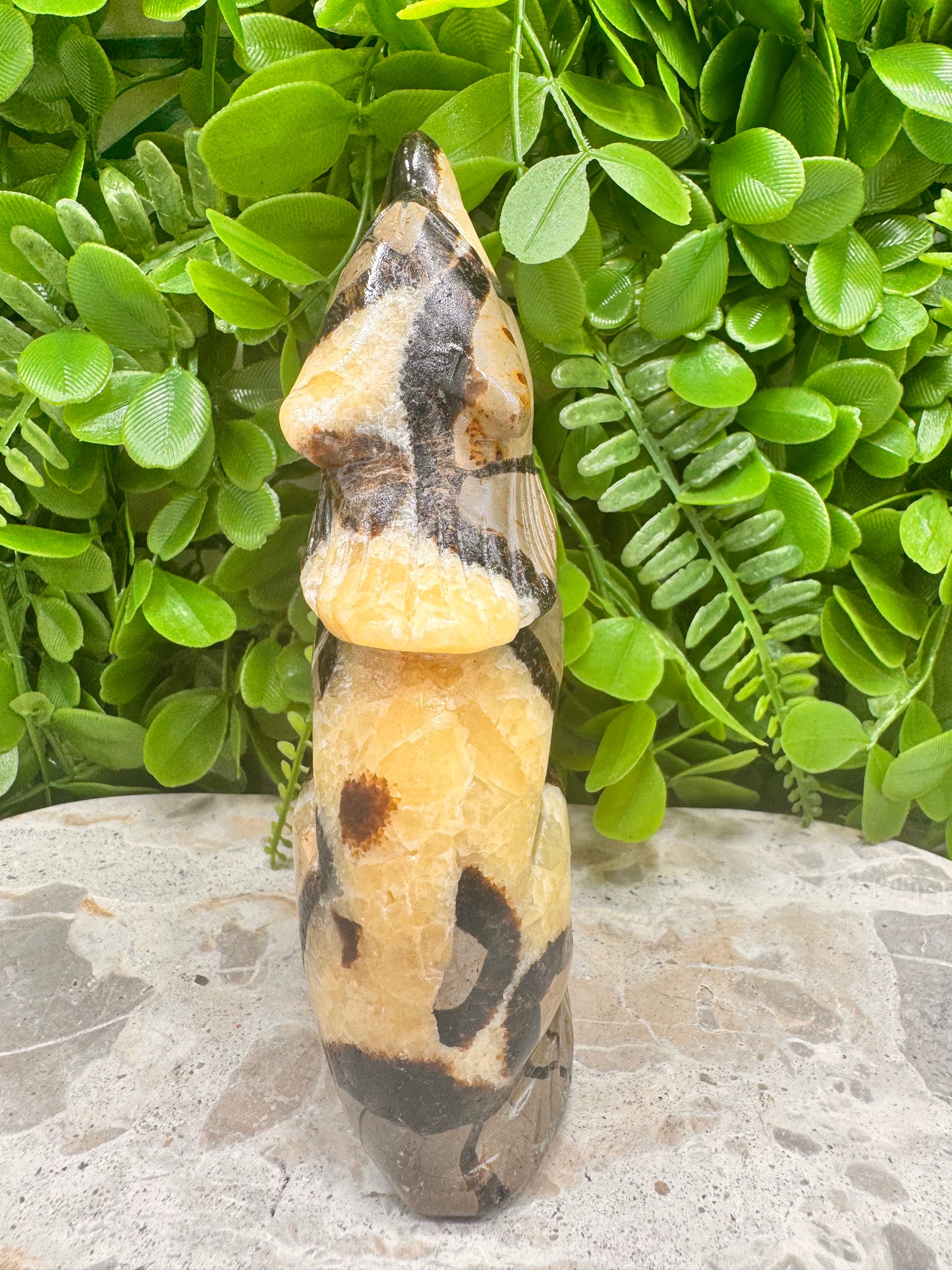 Septarian Dragon Stone 579g