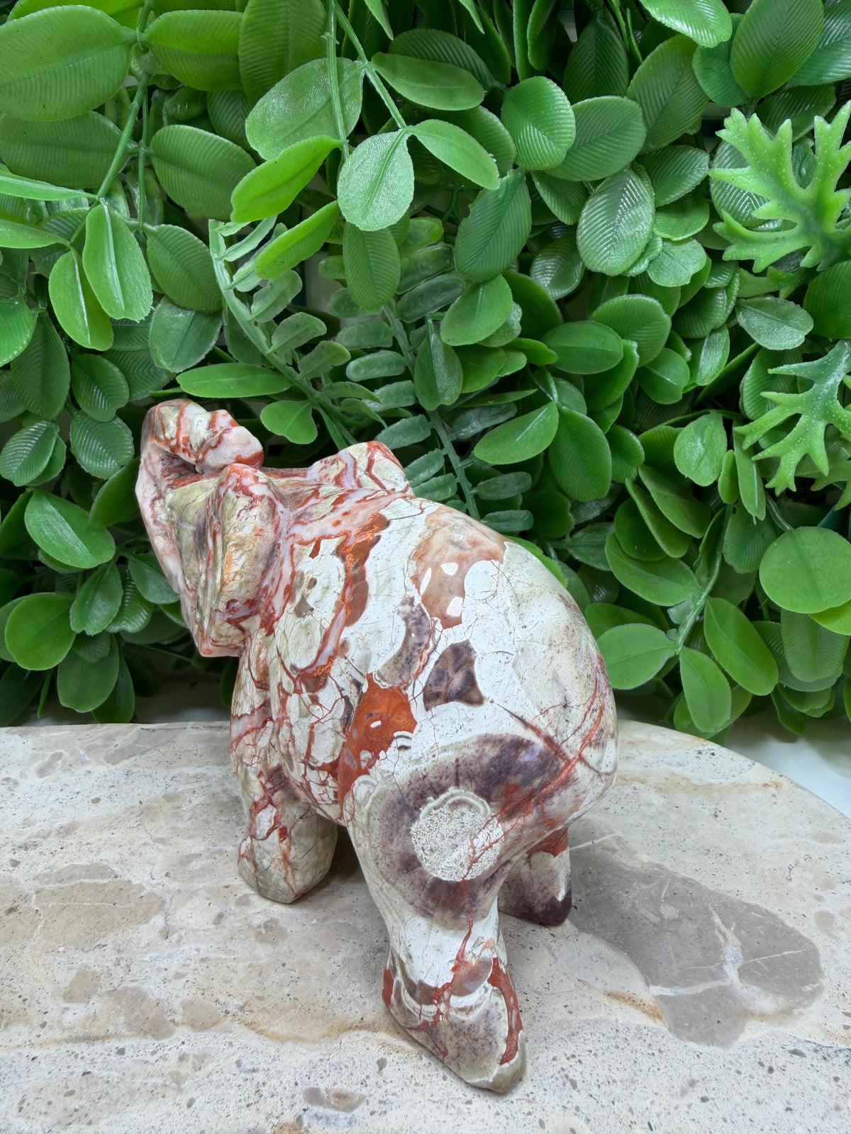Money Agate Elephant 464g | Abundance • Prosperity • Success