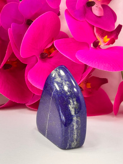 Lapis Lazuli Freeform 216g