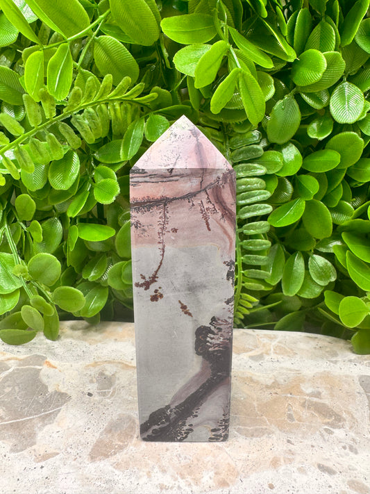 Picture Jasper Tower 256g