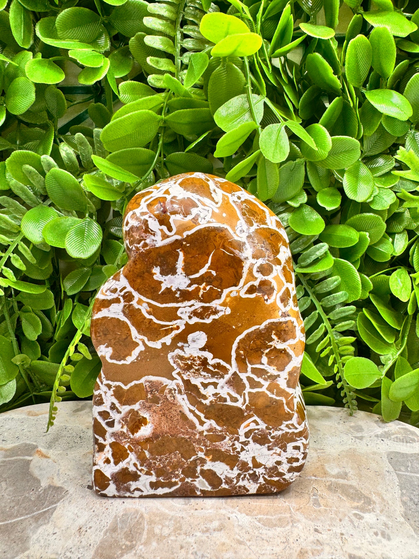 Jasper Agate Freeform 568g