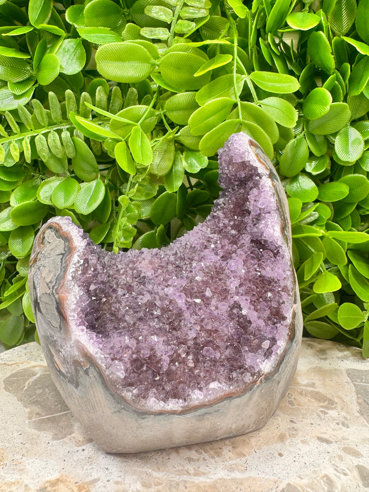 Amethyst Freeform Cluster 1.2kg