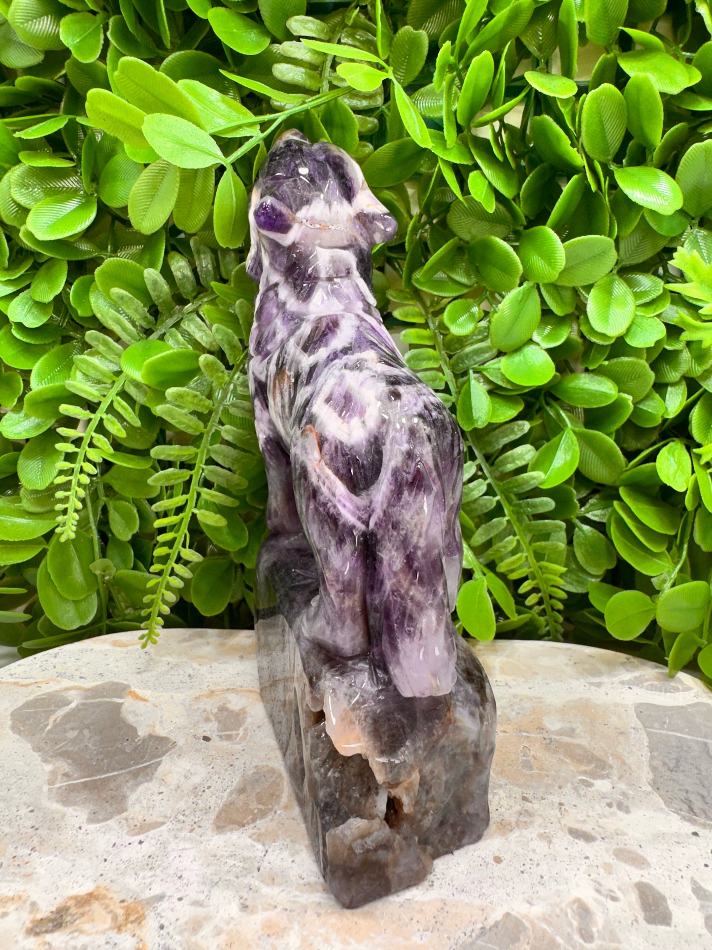 Chevron Amethsyt Wolf 920g