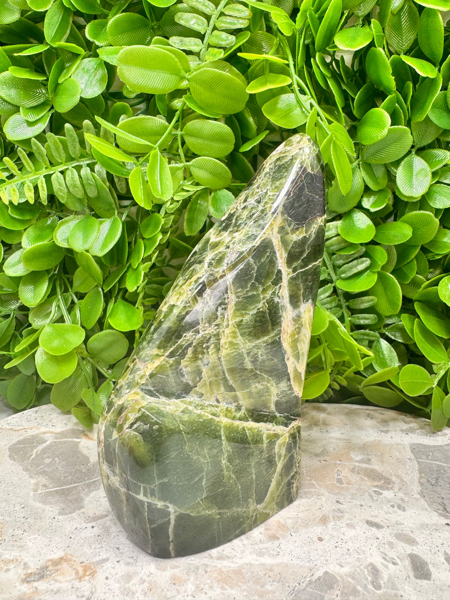 Tremolite Freeform 662g