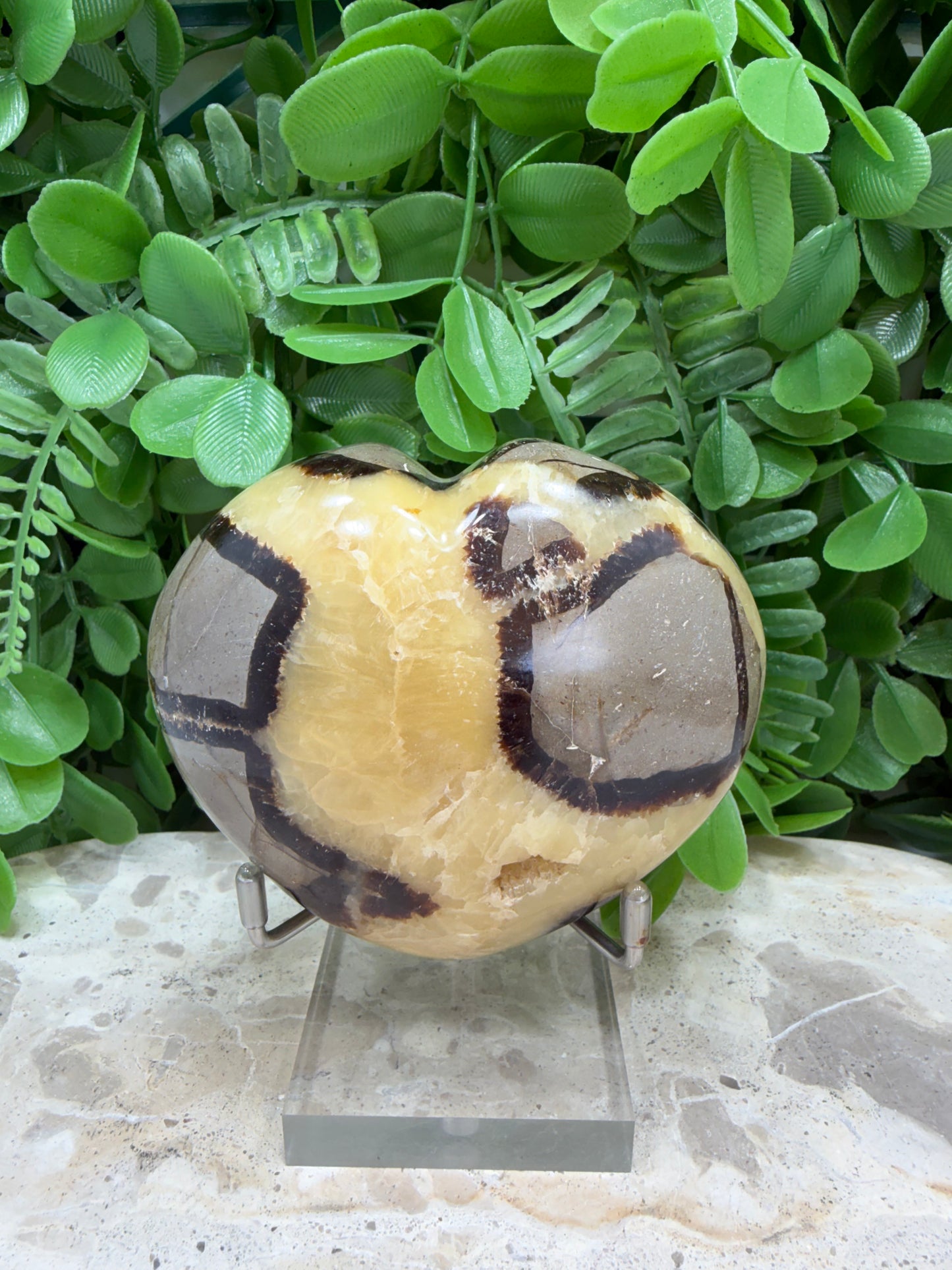 Septarian Dragon Stone 368g