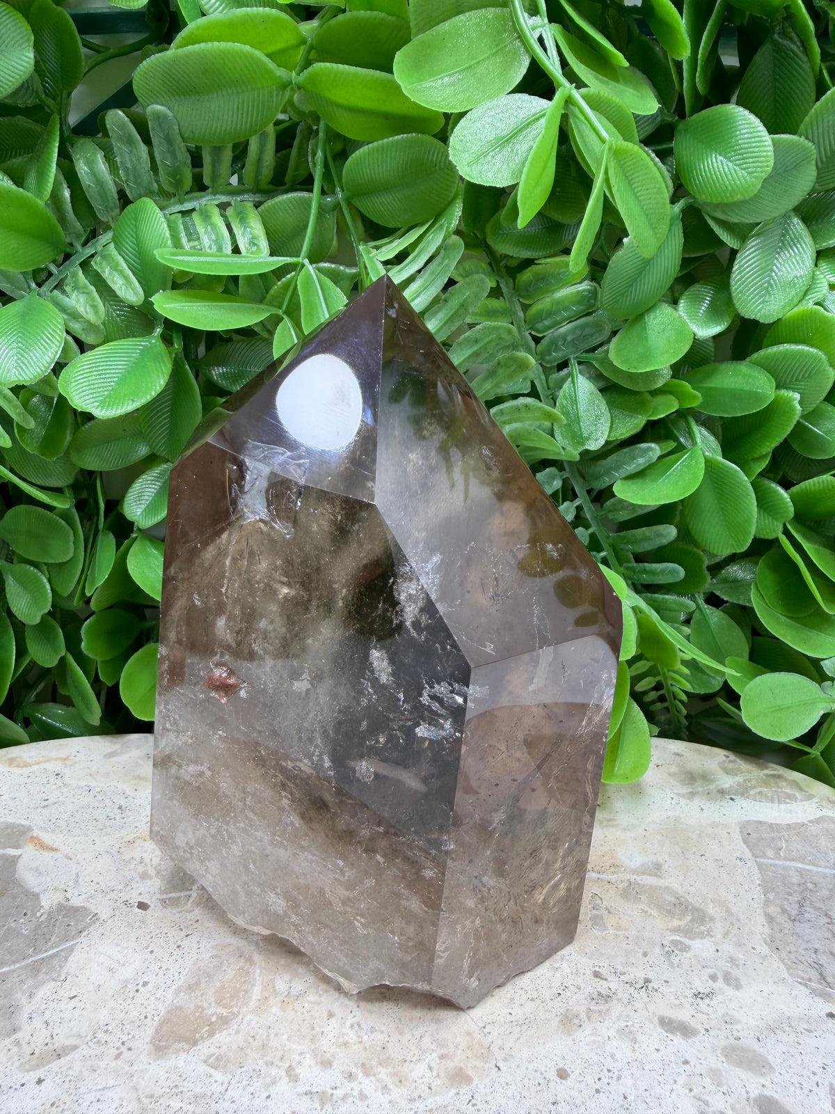 Smokey Quartz Freeform | Grounding • Protection • Calm