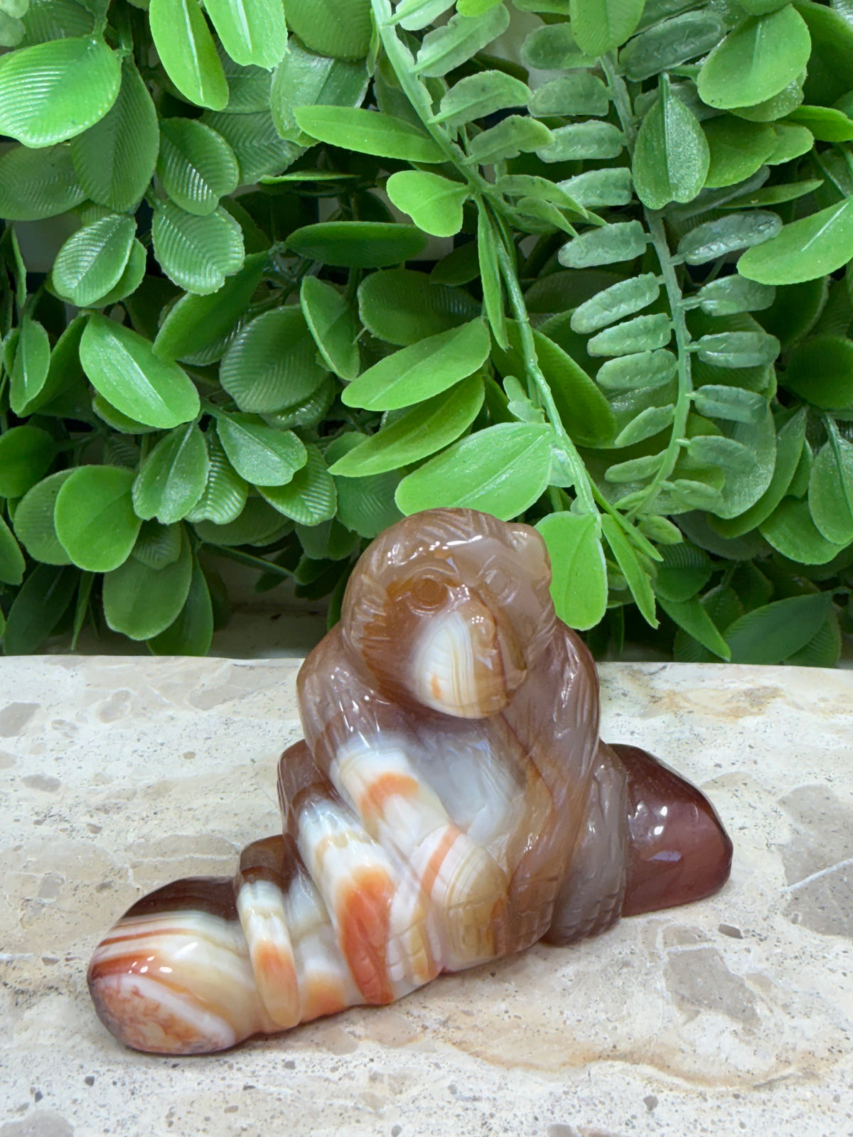 Carnelian Ape 134g | Motivation • Confidence • Creativity